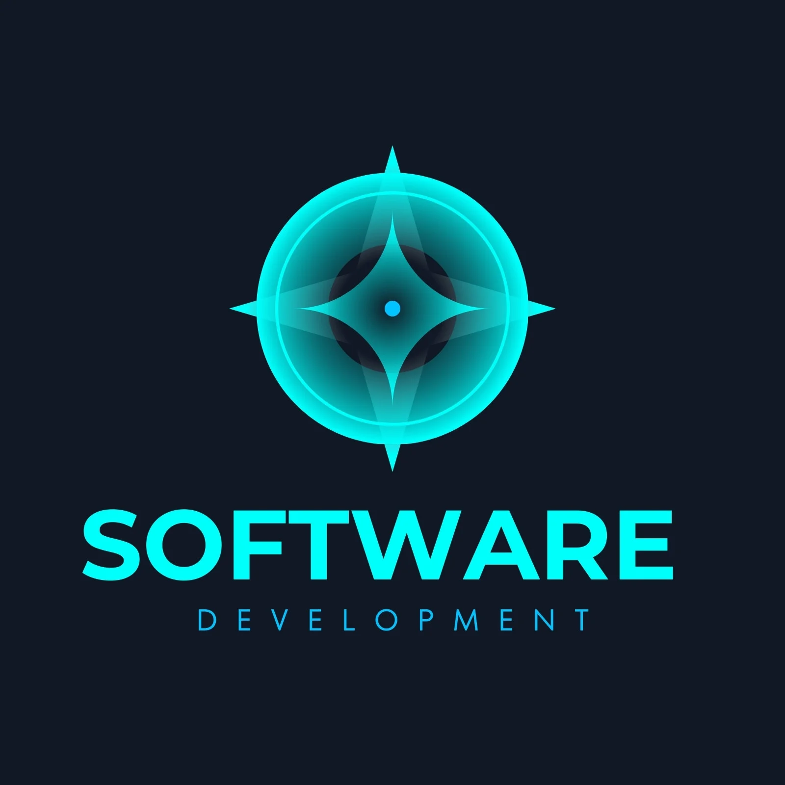 Software Development
